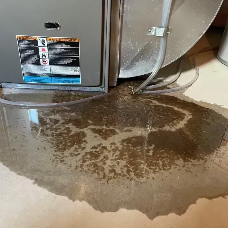 Appliance Leak Cleanup in Parker, CO